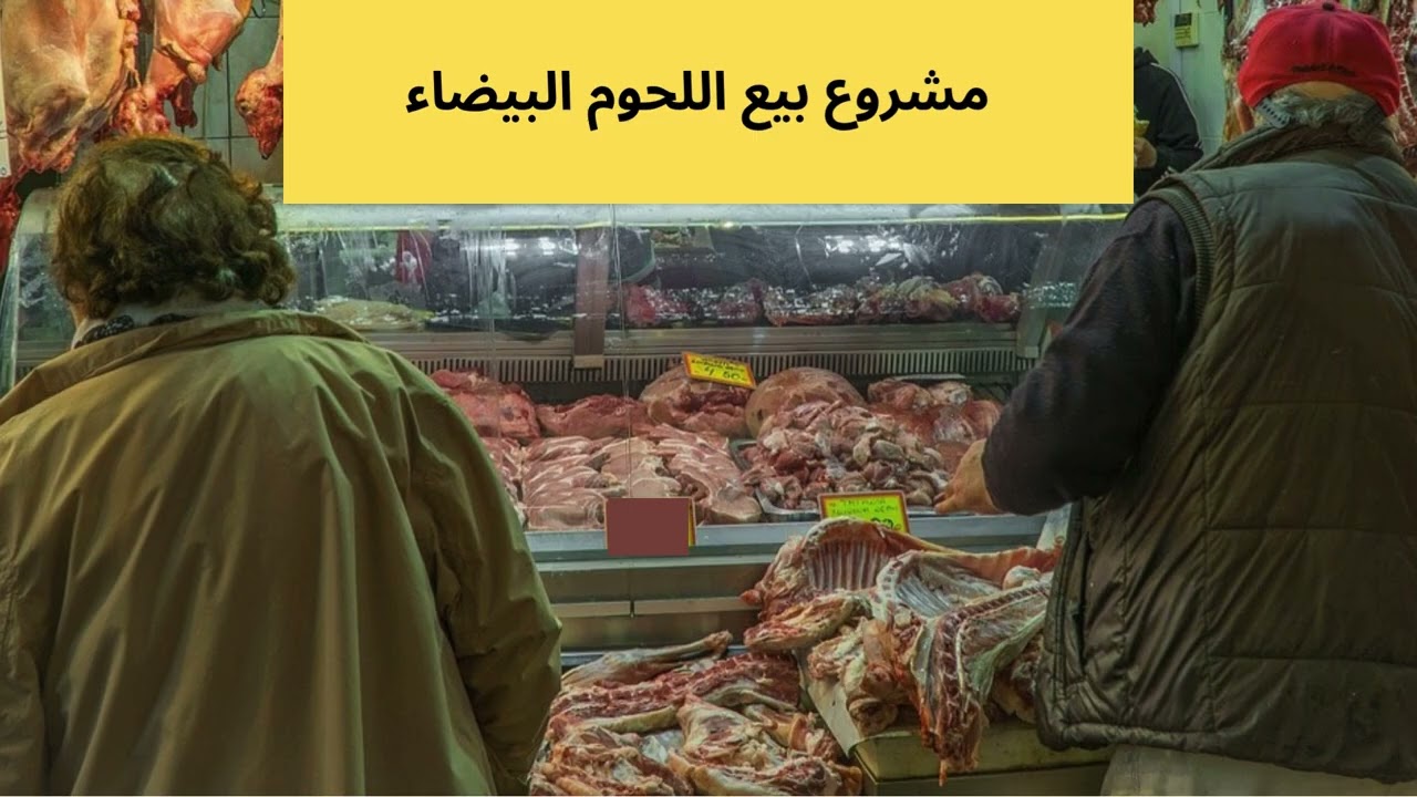 مشروع بيع اللحوم البيضاء