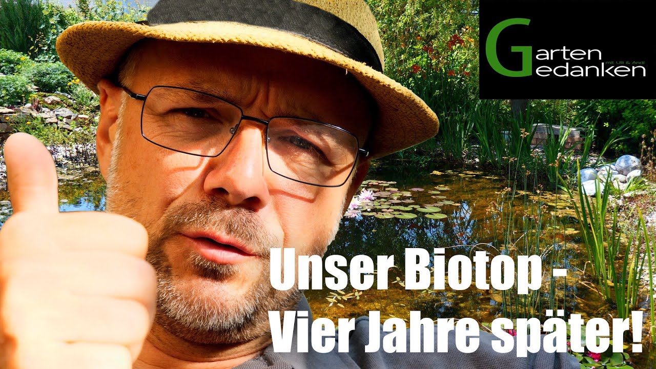 Unser Biotop - Vier Jahre später