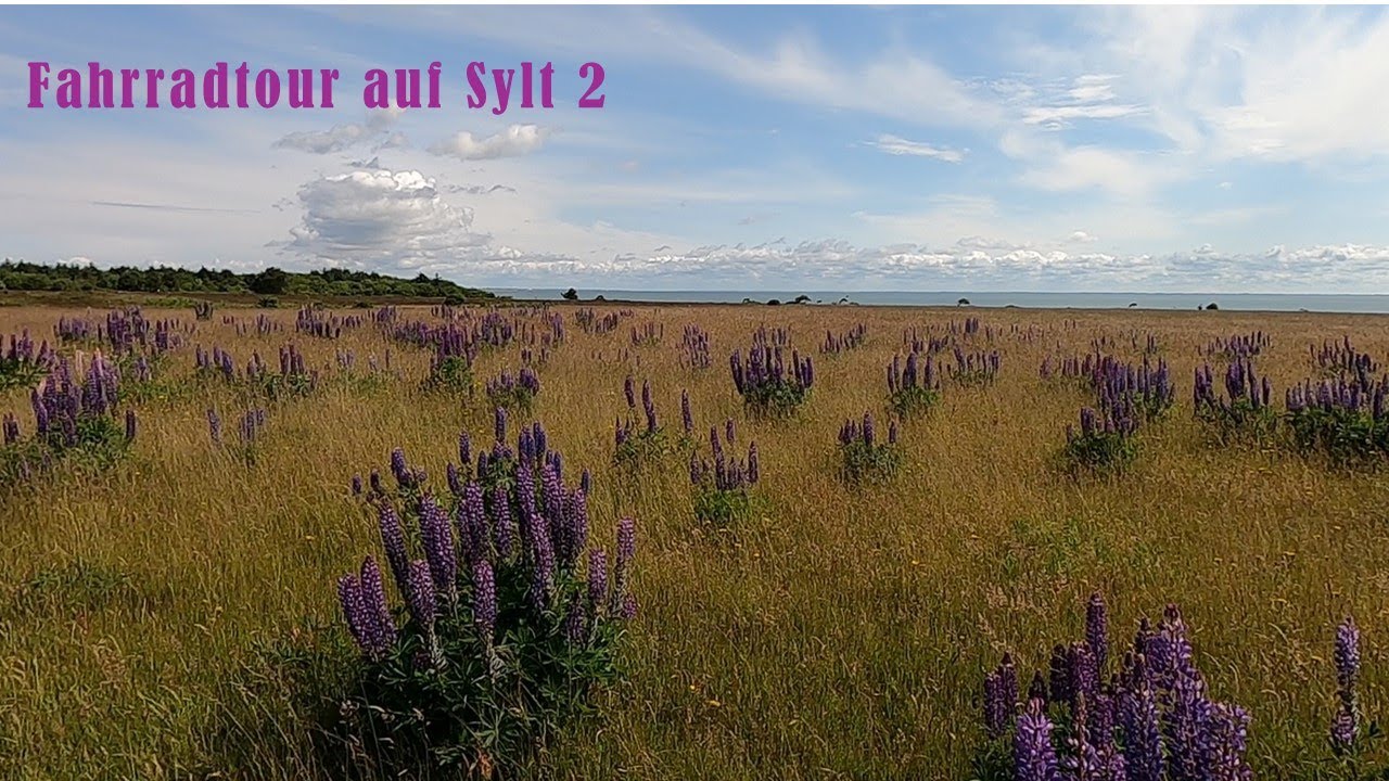 Radtour Sylt 2