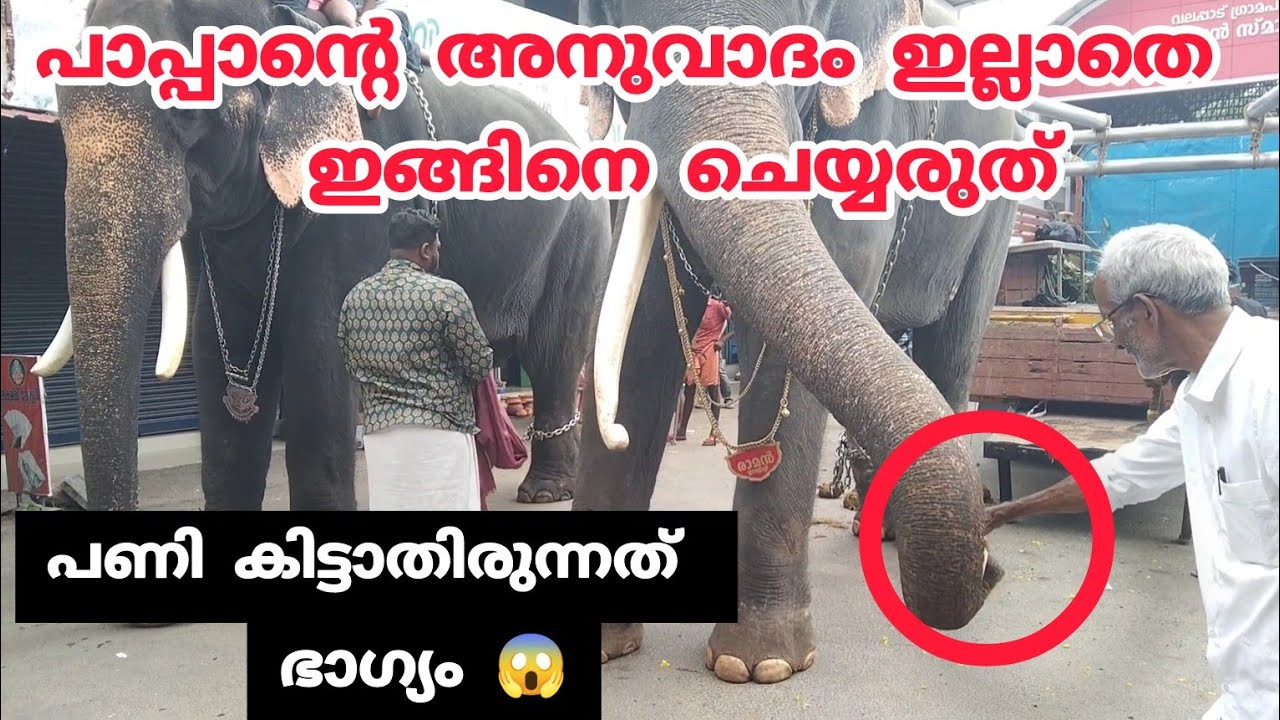 Uttoly Raman | പണി കിട്ടാതിരുന്നത് ഭാഗ്യം