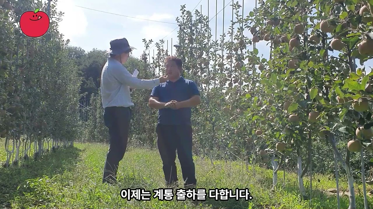 [애플킹] 경북-군위군 부계면 최광진 대표님