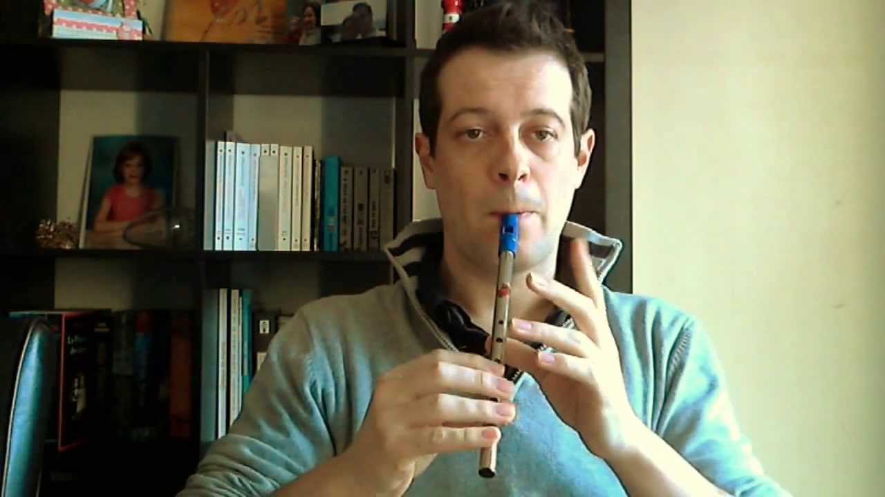 Tin Whistle Comparison (Generation, Susato, Menager, Abell)