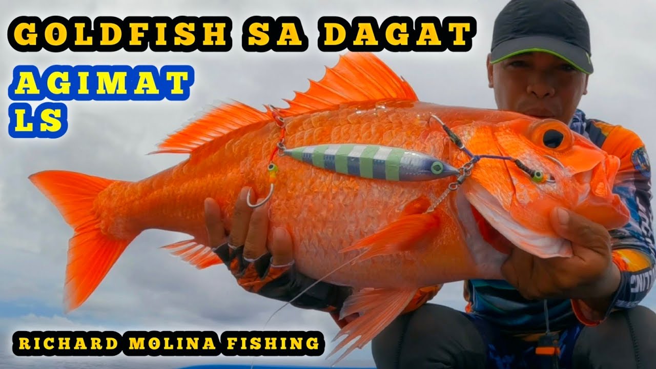 GOLDFISH SA DAGAT | EFFECTIVE ANG BAGONG AGIMAT LS 300G JIG