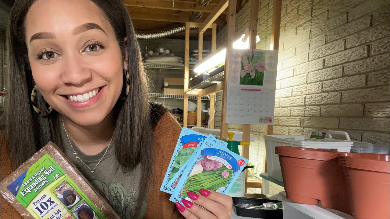 Starting A Container Gardening On A Budget | Dollar Tree