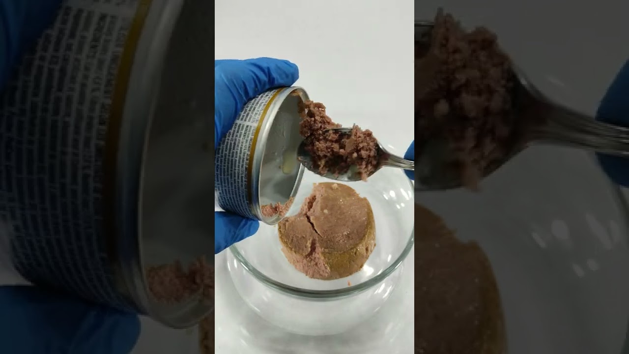 ProPlan Veterinary Diets NF Kidney Function Advanced Care Feline Formula-UNBOXING (PURINA)#shorts