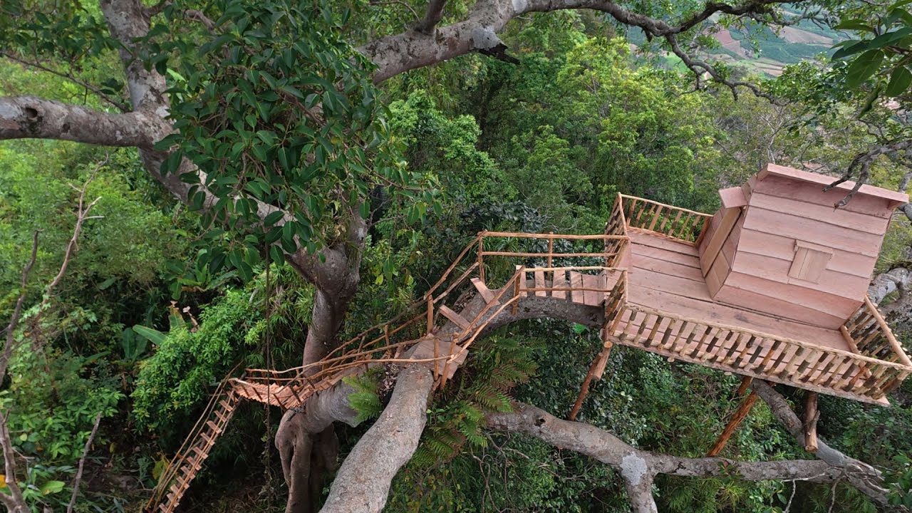 100 Steps to Freedom &ndash; Building a Treehouse Above the Wild _  P2 | bushcraft skills