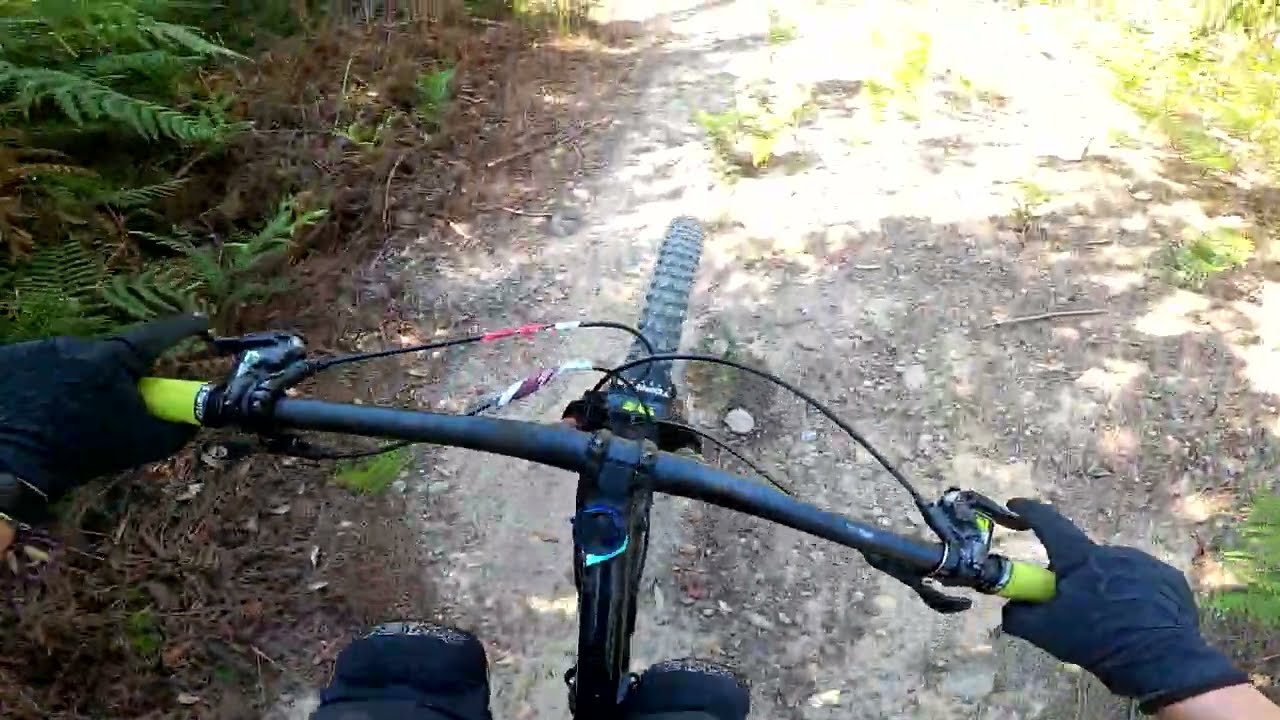 Montecarlo Trail Area