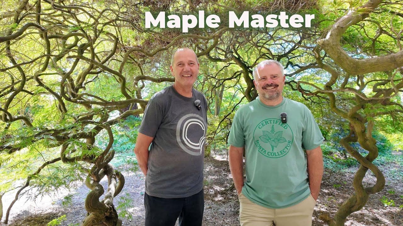 You Won't Believe This Nursery - Esveld Nursery - Cor van Gelderen