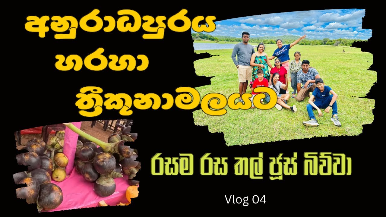 රුවන්වැලි සෑය වැන්දා |කන්නියා උණු වතුර ලිං | |Trip to Anuradhapura & Trinco