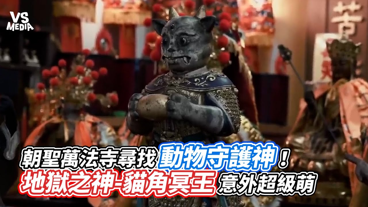 朝聖萬法寺尋找動物守護神！地獄之神 貓角冥王意外超級萌｜VS MEDIAｘ @魔法叔叔