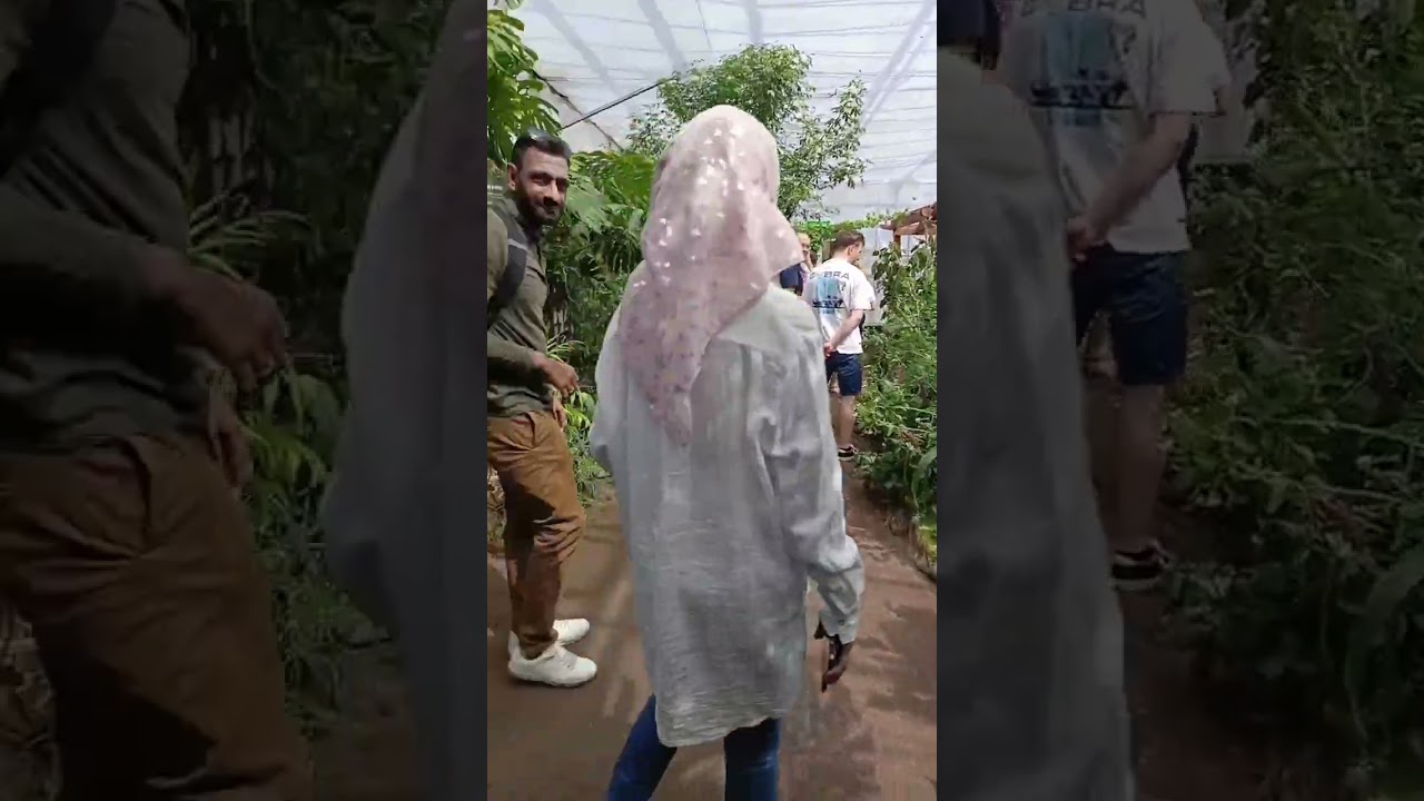 30 января 2026 г.