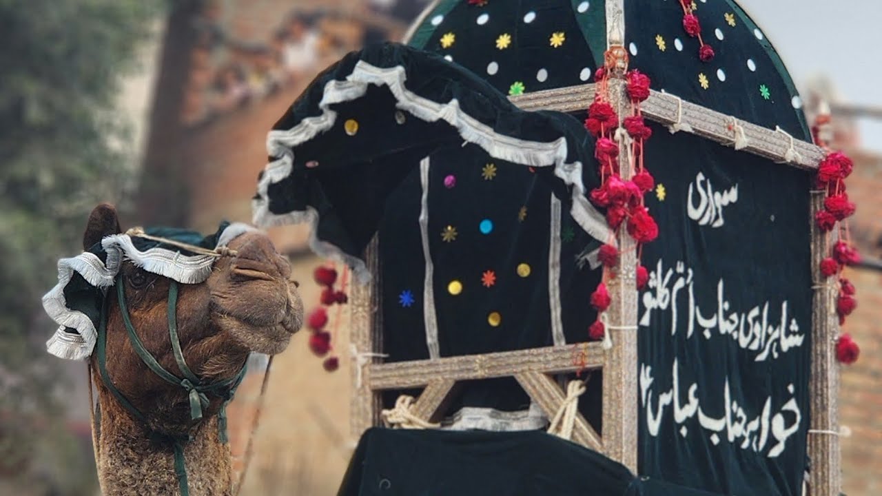 Zaidpur 4 Shaban Juloos | Safar e Imam Hussain 2026 Barabanki