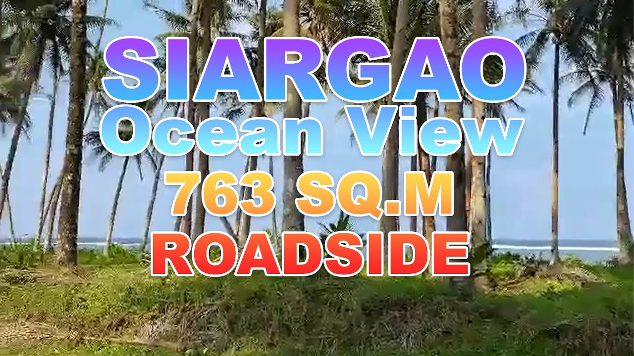 763 sqm Roadside Lot For Sale near Beach in Siargao Island