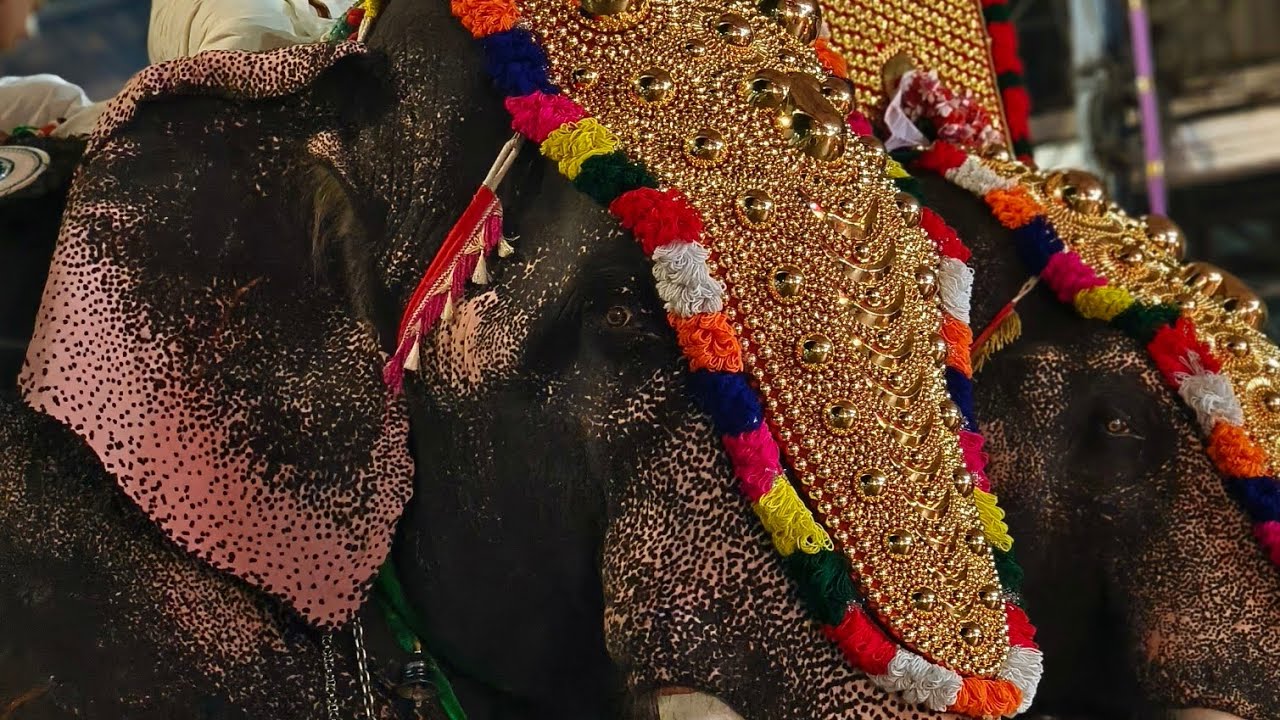 GURUVAYUR MEMORIES 2 #elephant #guruvayurtemple #rituals 
