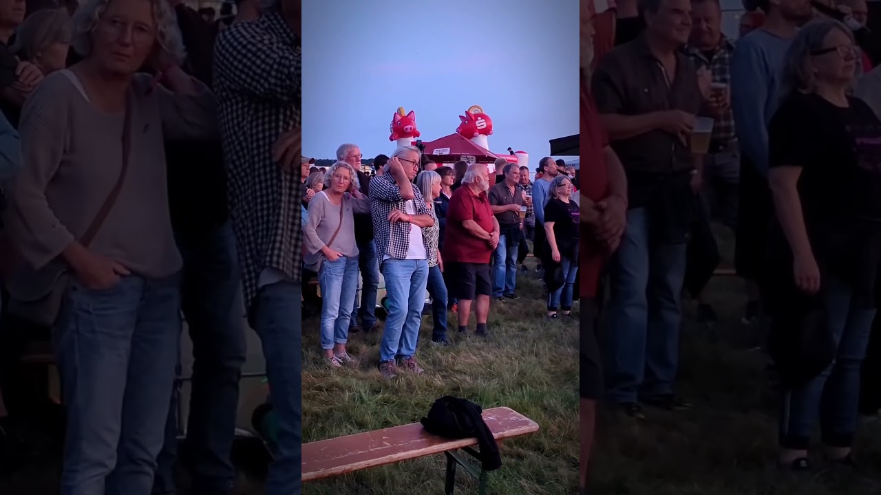 The Sick Rats - Iwein bei Rock am Hinkelhof 2025 Ausschnitt 