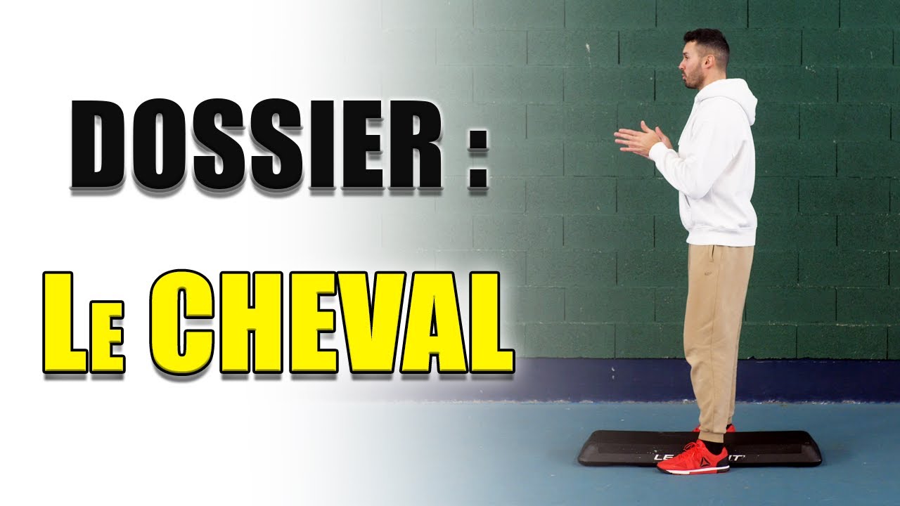 Dossier : le CHEVAL en step (le pas le + important ?)