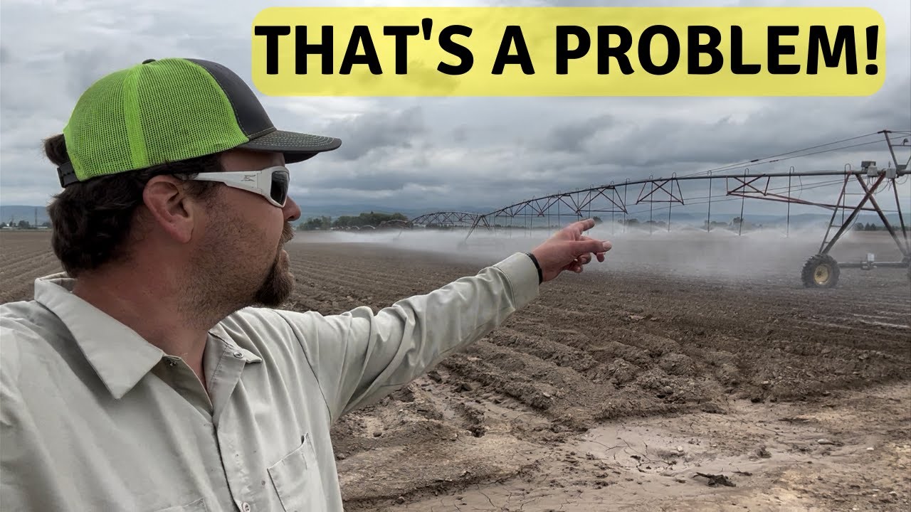 Time to make it rain! Flushing and cleaning our pivots to water the potatoes | getting stuck, geyser