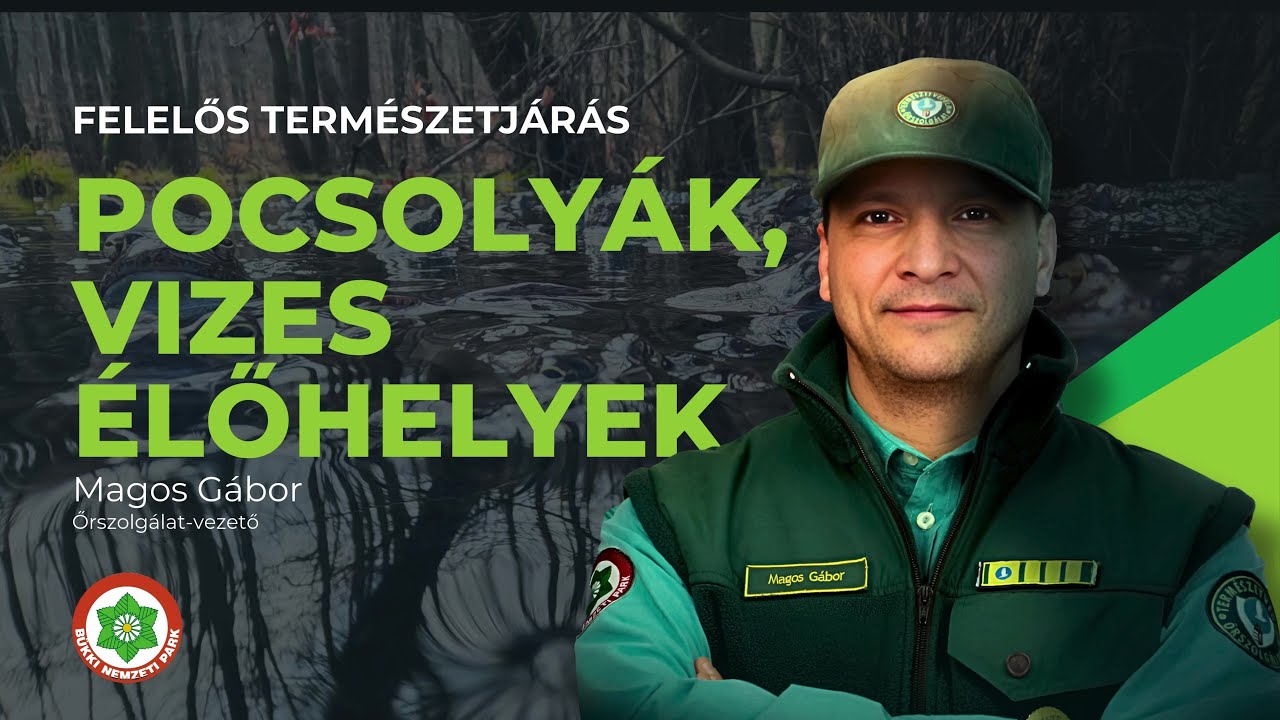 Felelős természetjárás: Pocsolyák, vizes élőhelyek