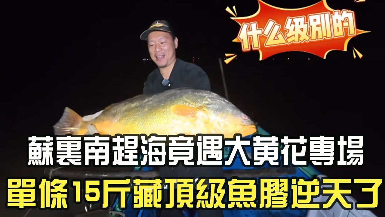 蘇裏南趕海竟遇大黃花專場，單條 15 斤藏頂級魚膠逆天了#阿牛愛捕魚 #趕海 #熱門 #蘇裏南