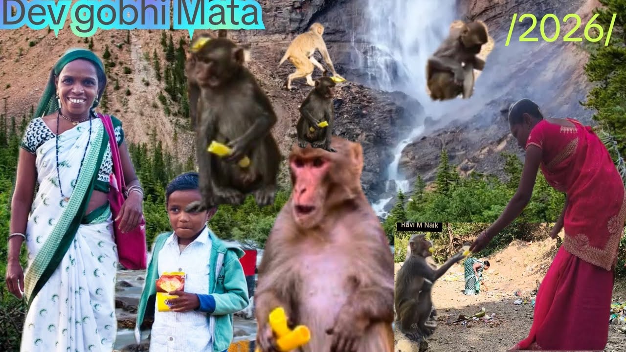 Dev gobhi rasta Maruti Darshan