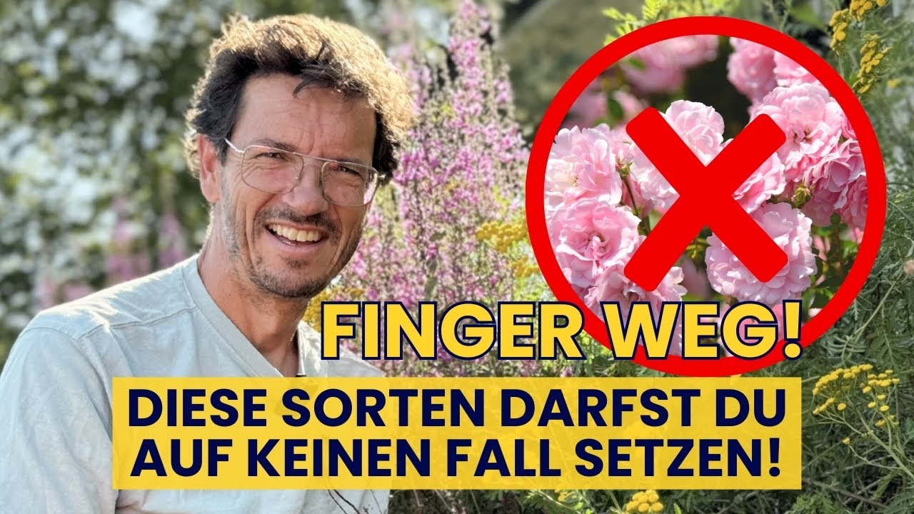 VERZICHTE auf diese PFLANZENSORTEN und hilf den Insekten