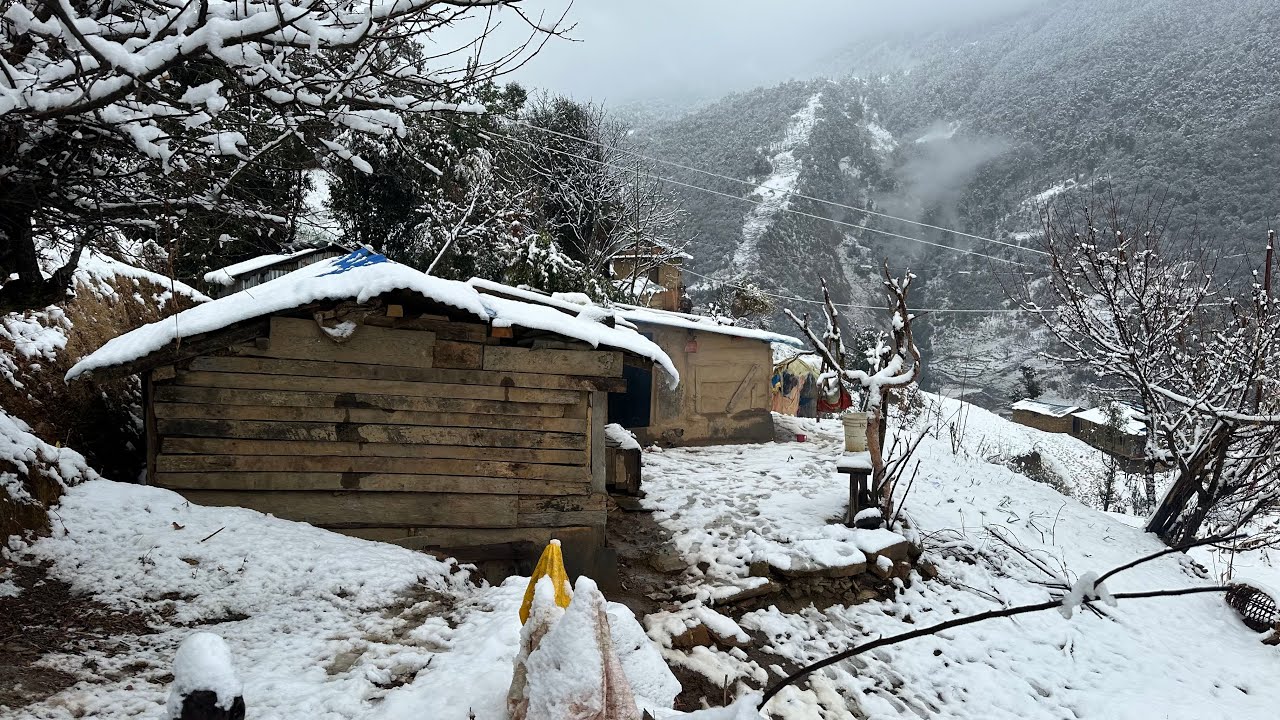 This is Himalayan Life During the Snowfall Time| Surviving Life in winter | VillageLifeNepal