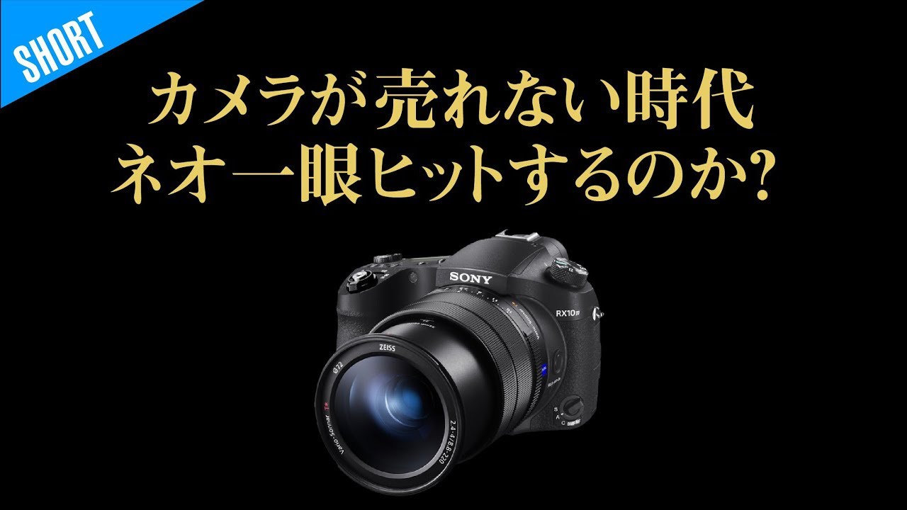 ネオ一眼はいらない？それとも最強セカンドカメラ？RX10Vみんなほしいですか？