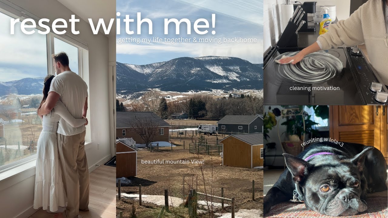 full reset & pack w me | decluttering, organizing & moving back home 🫧🧺🏡
