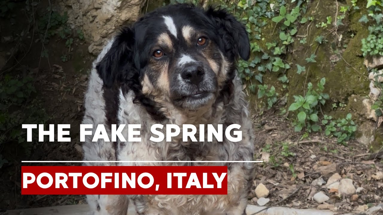 The Fake Spring In Portofino, Italy