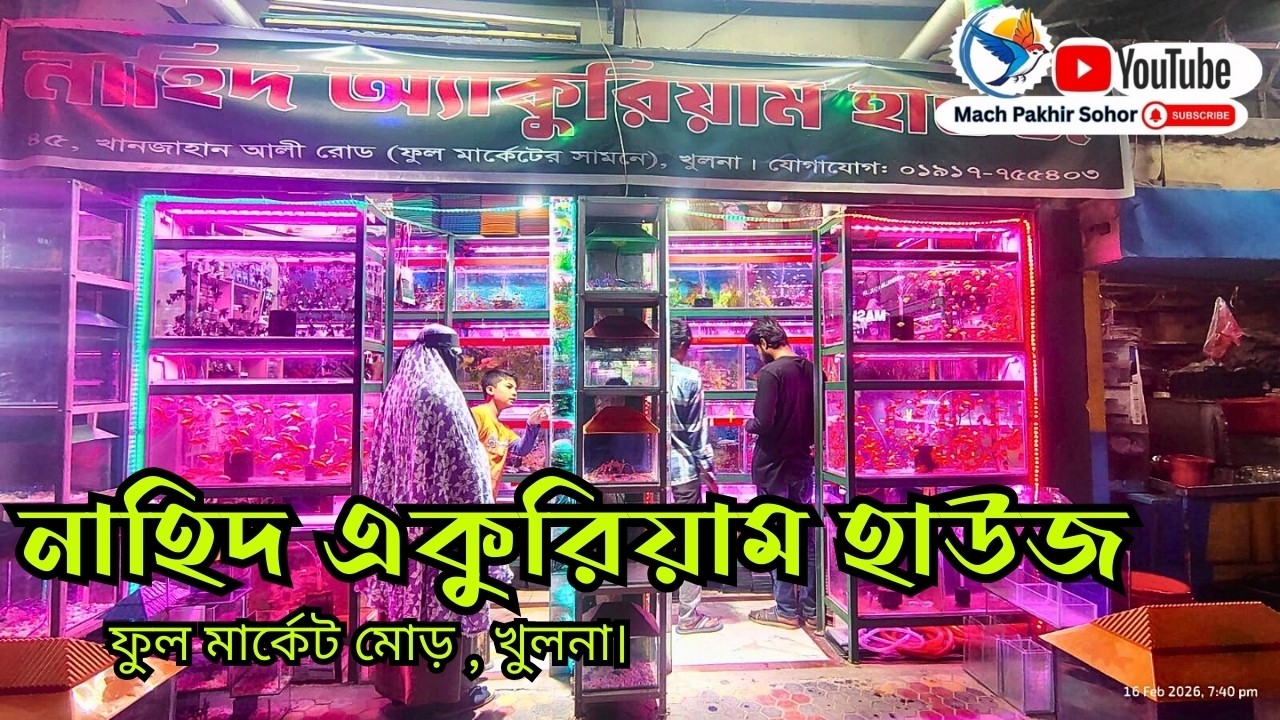 Aquarium Price In Bangladesh। Aquarium Fish Price In Khulna। Aquarium Fish Price  #funny #foryou