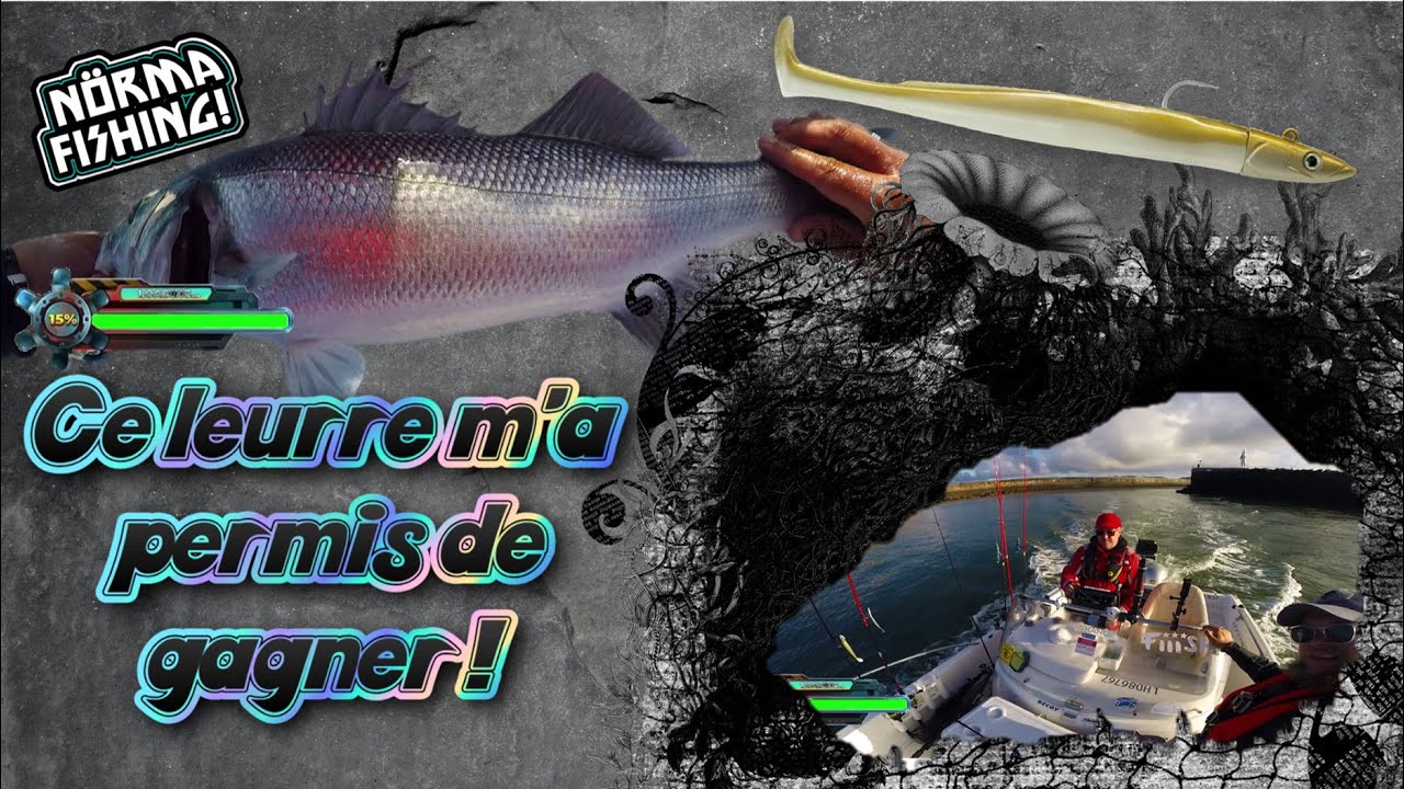 Concours de pêche du bar au Havre : ce leurre me permet de gagner ! #fishing #seabass #bar #fiiish