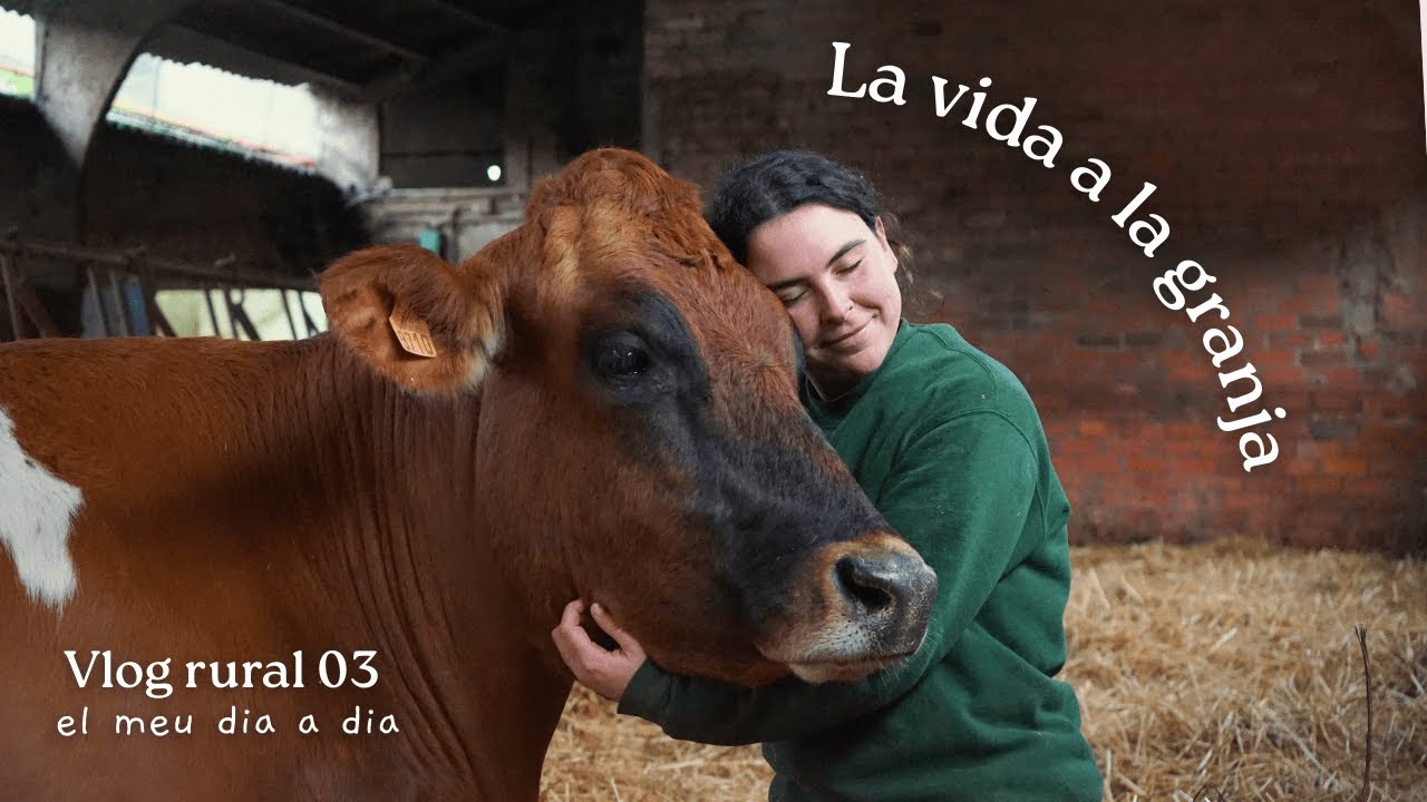 Vlog rural🐮| Així és la vida a la granja al Desembre🎄