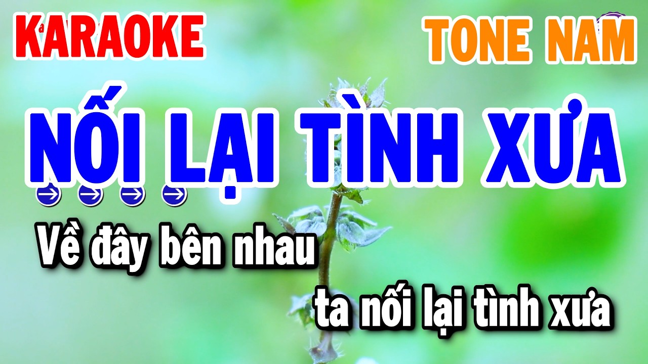 Nối Lại Tình Xưa Karaoke Tone Nam Nhạc Cha Cha Hay Dễ Hát - Thanh Hải Organ