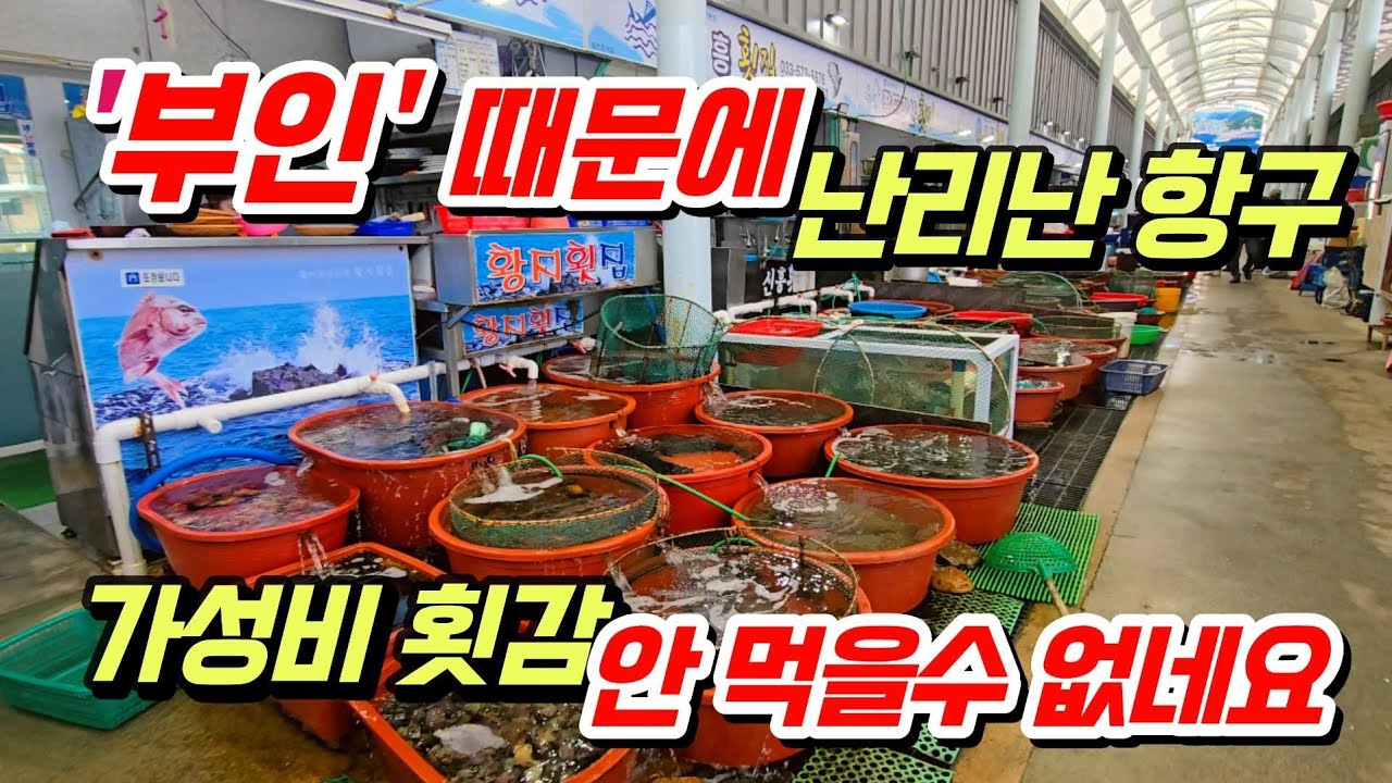 동해 가성비 횟감 여기 다모였네요~  '부인' 안 보고가면 섭섭하죠~