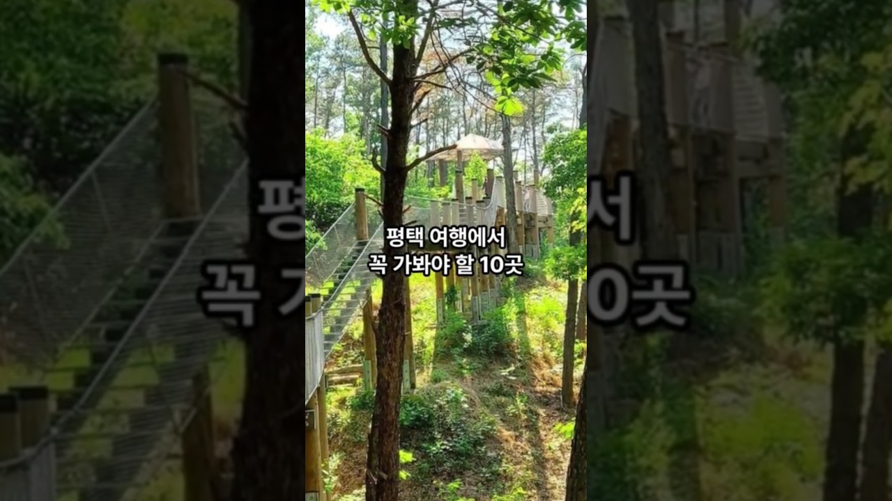 평택 관광지 10곳 #평택#여행#관광#국내관광#국내여행#여행지