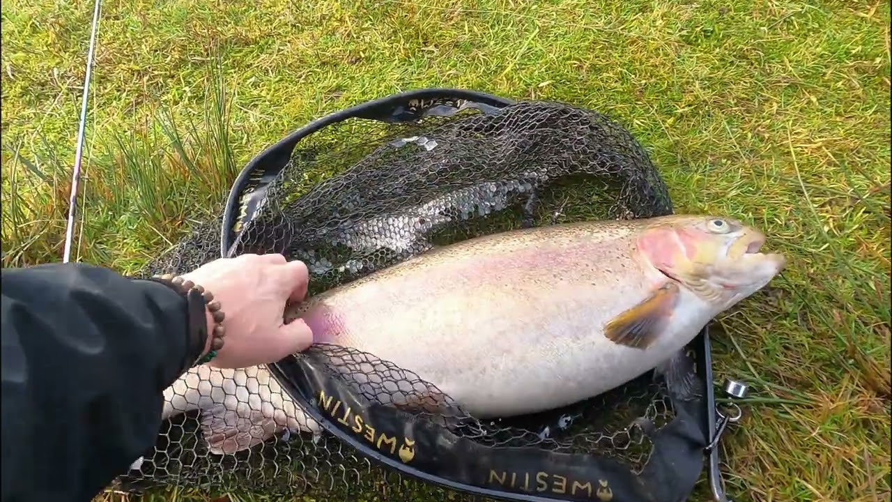 Filskov ny PR på 4,88kg