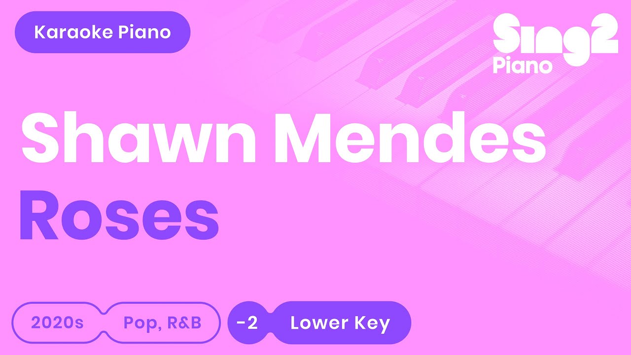 Shawn Mendes - Roses (Lower Key) Karaoke Piano