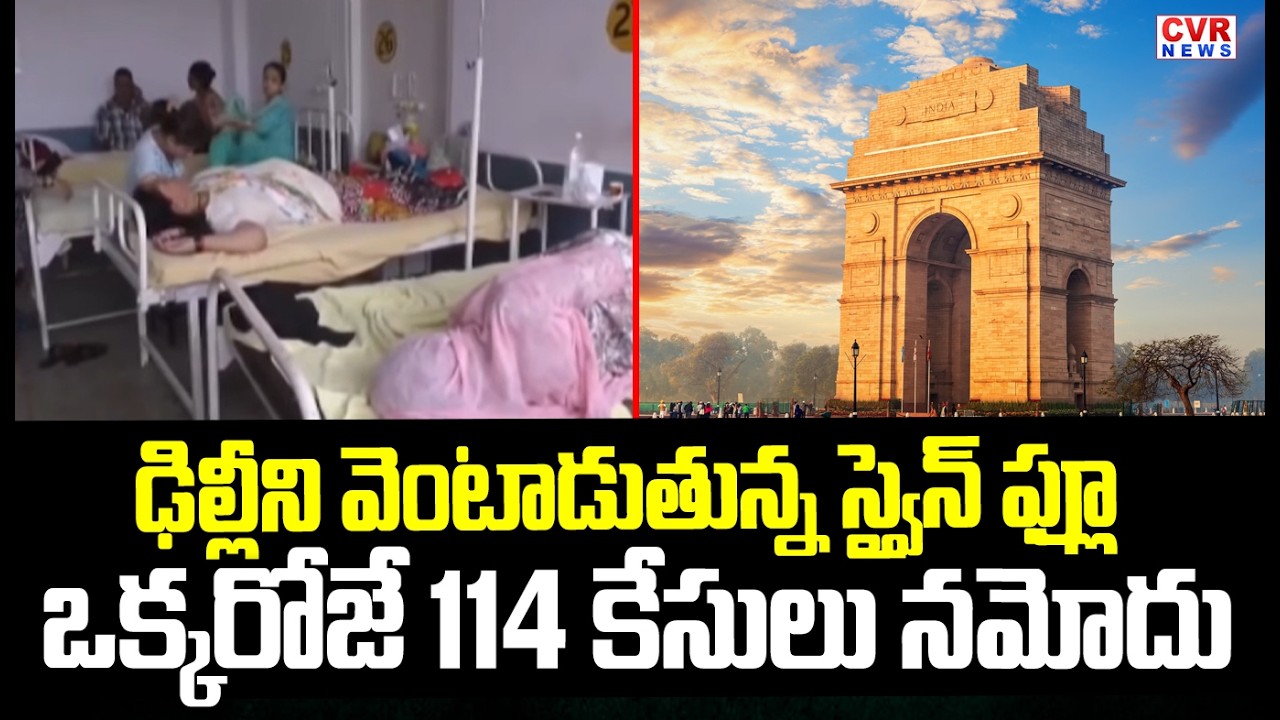 Swine Flu Cases Rise In Delhi , 114 New Cases Recorded Yesterday | CVR News