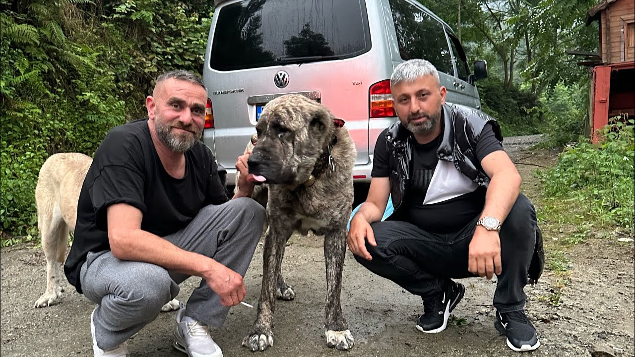 ERKAN YILDIRIM ve ELCHAPOYU ZİYARETE GİTTİM