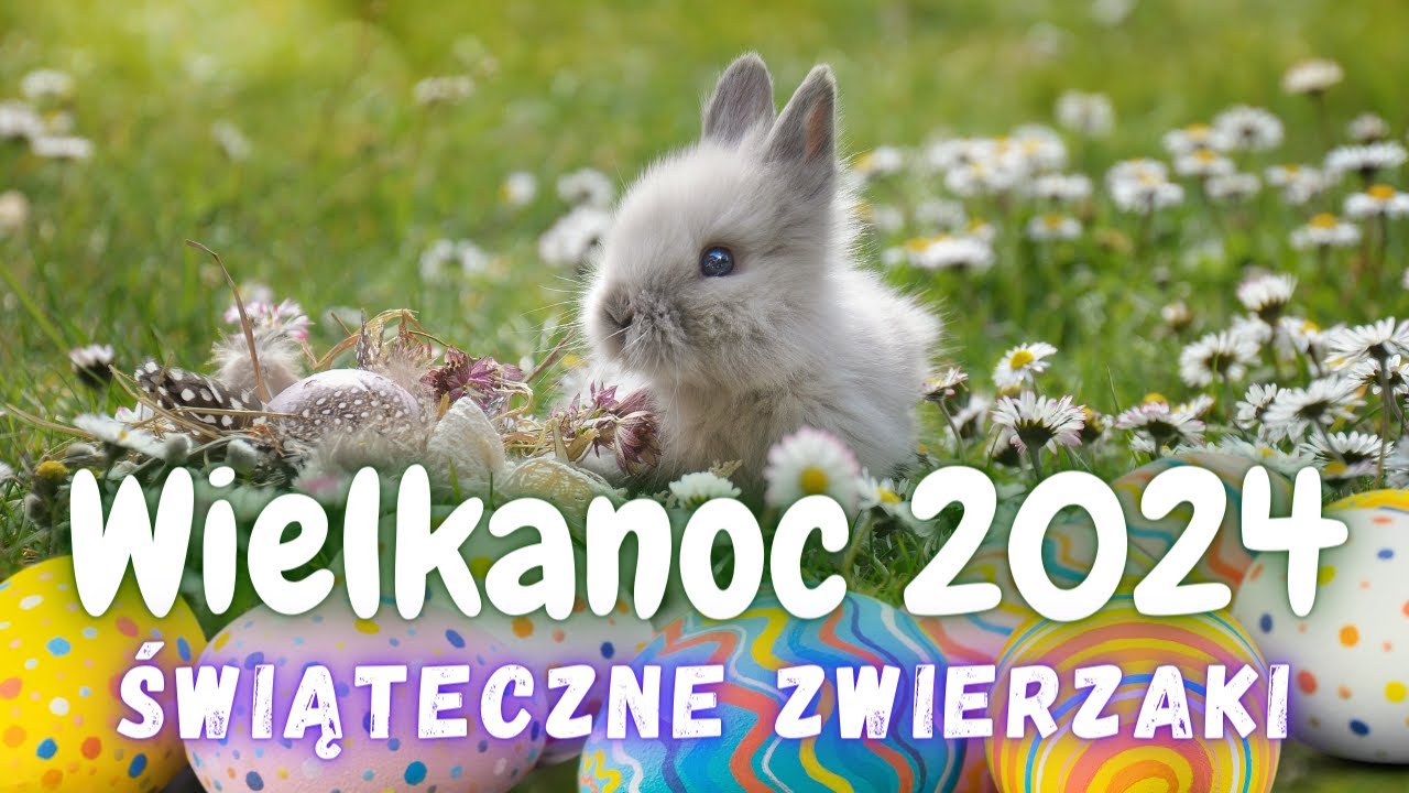 Wielkanoc 2024 🐣 Świąteczne Zwierzaki 🐰 Wesołych Świąt