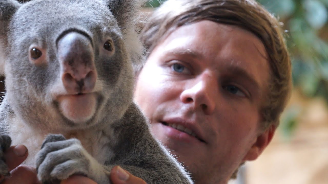 Überraschung im Zoo Dresden