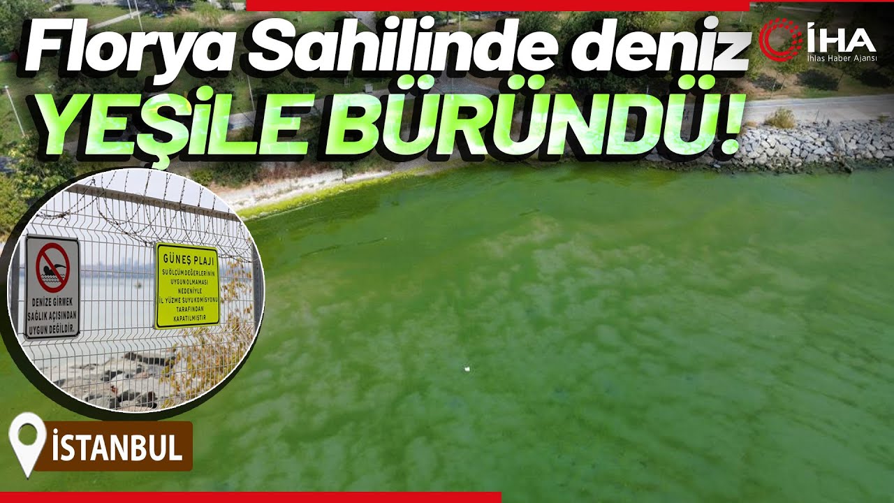 Kapatılan Florya Sahilinde Deniz Yeşile Büründü