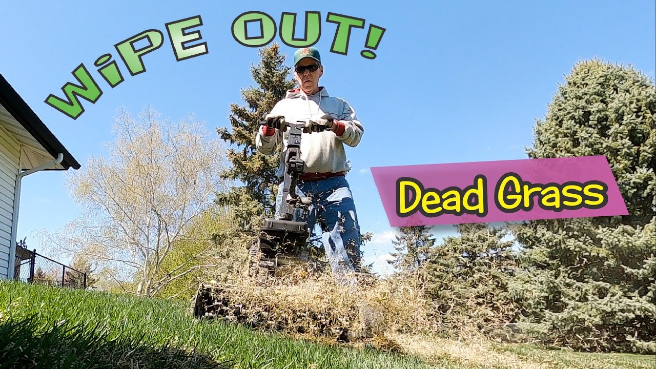 Full Backyard Dethatching in One Pass + The Spring Mowing Trick for Fast Green-Up