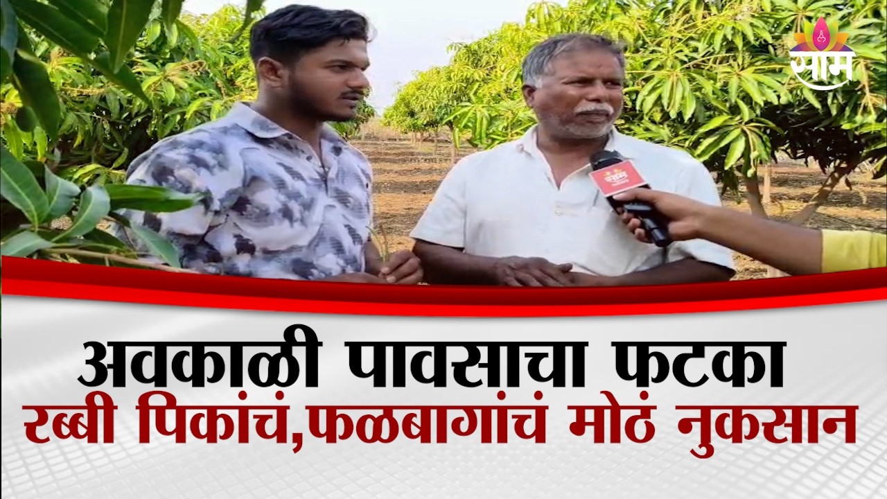 लातूरमध्ये अवकाळीचा तडाखा; रब्बी पिके आणि फळबागांचे मोठे नुकसान | Latur News