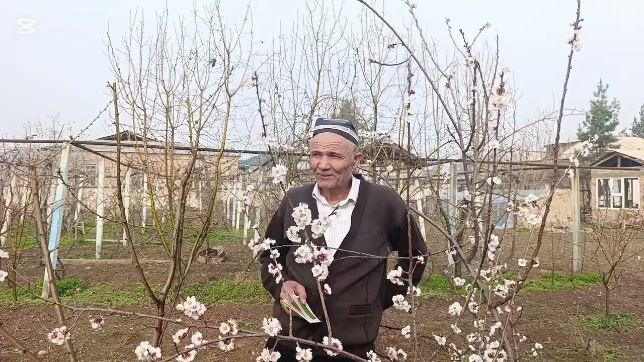 КУТИЛМАГАН СОВУКДАН САКЛАШ . .78 1470500 ИФОДА 