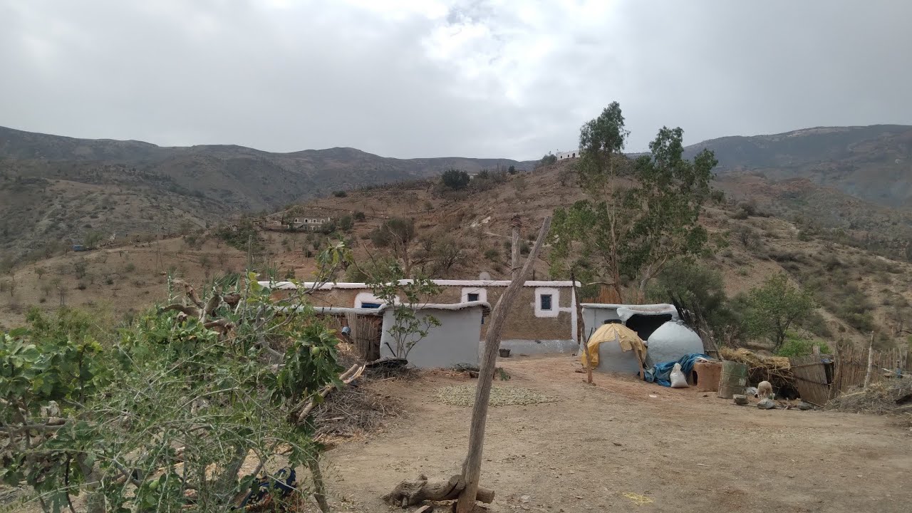 حياة سكان جبال الريف وحياة اليومية تقليدية وسقي الورد في فصل الصيف #الحسيمة #village_life
