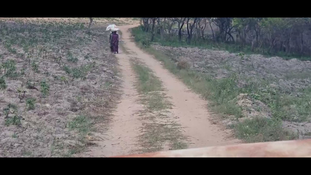 Voltando da noça machamba MOZAMBIQUE 🇲🇿 CHIMOIO EM INGOMAI 