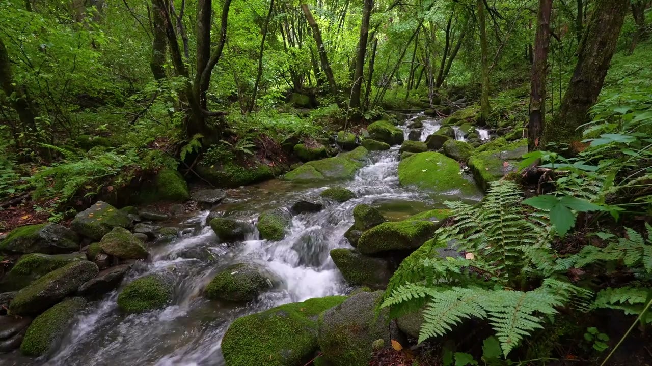 Шум журчащей воды и щебетание птиц полезны для сна.
