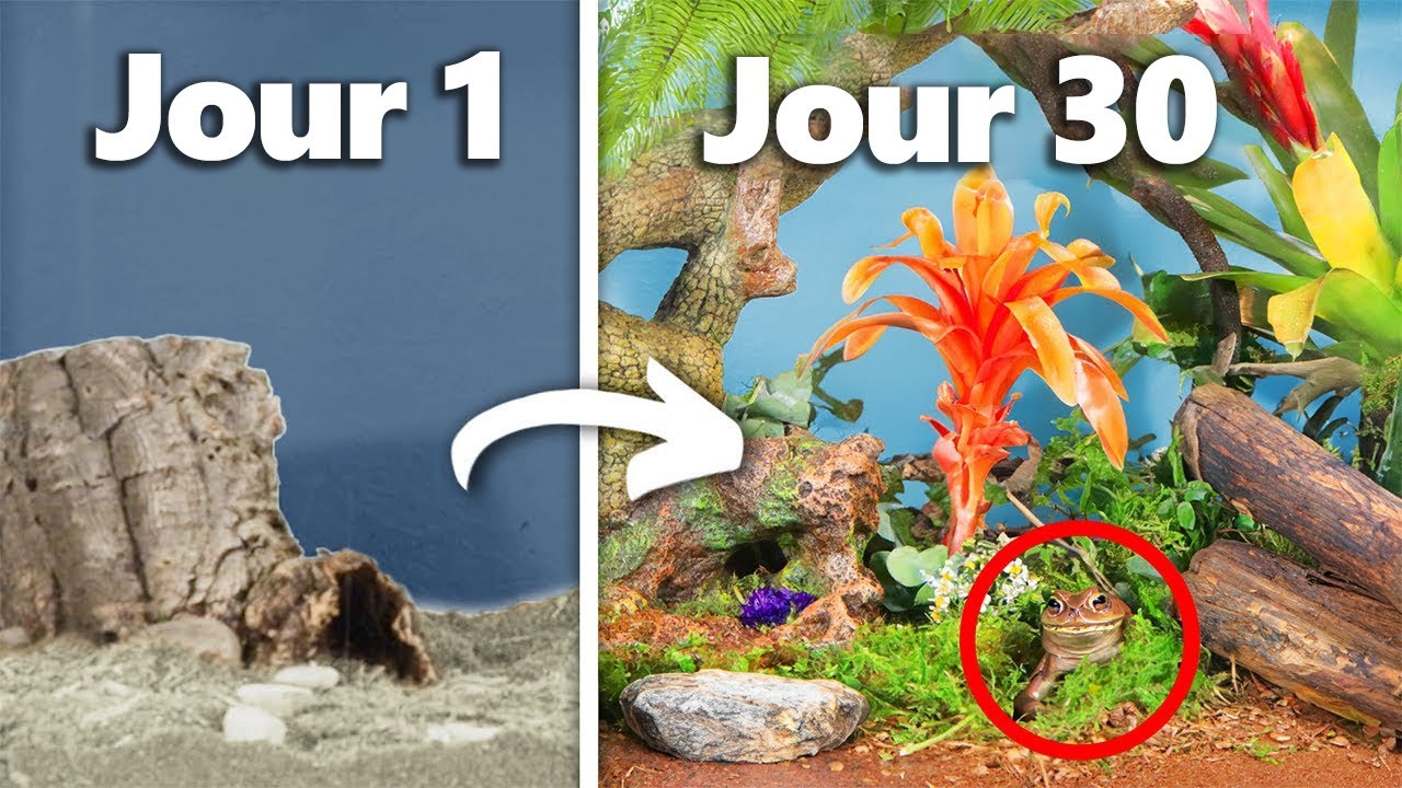 Simulation d’une Forêt Tropicale Pendant 30 Jours