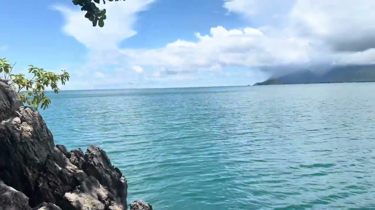 Island Vibes 